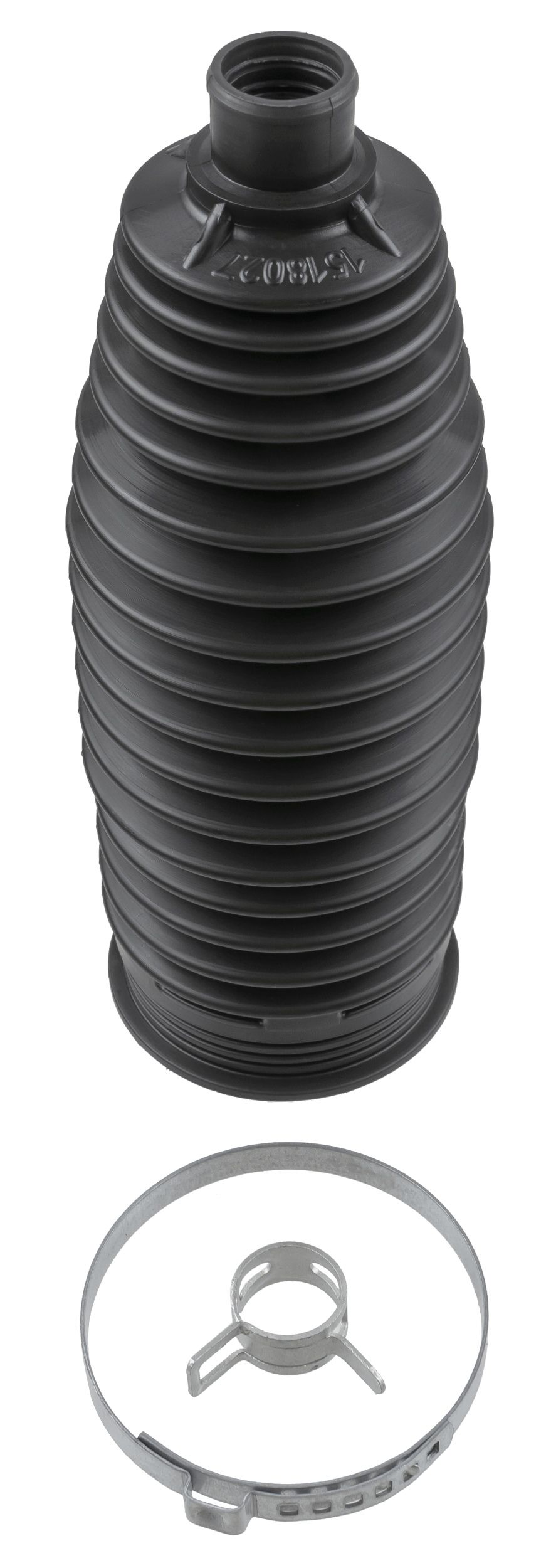 00354479801.JPG