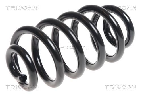 8750 29351 TRISCAN futómű rugó
