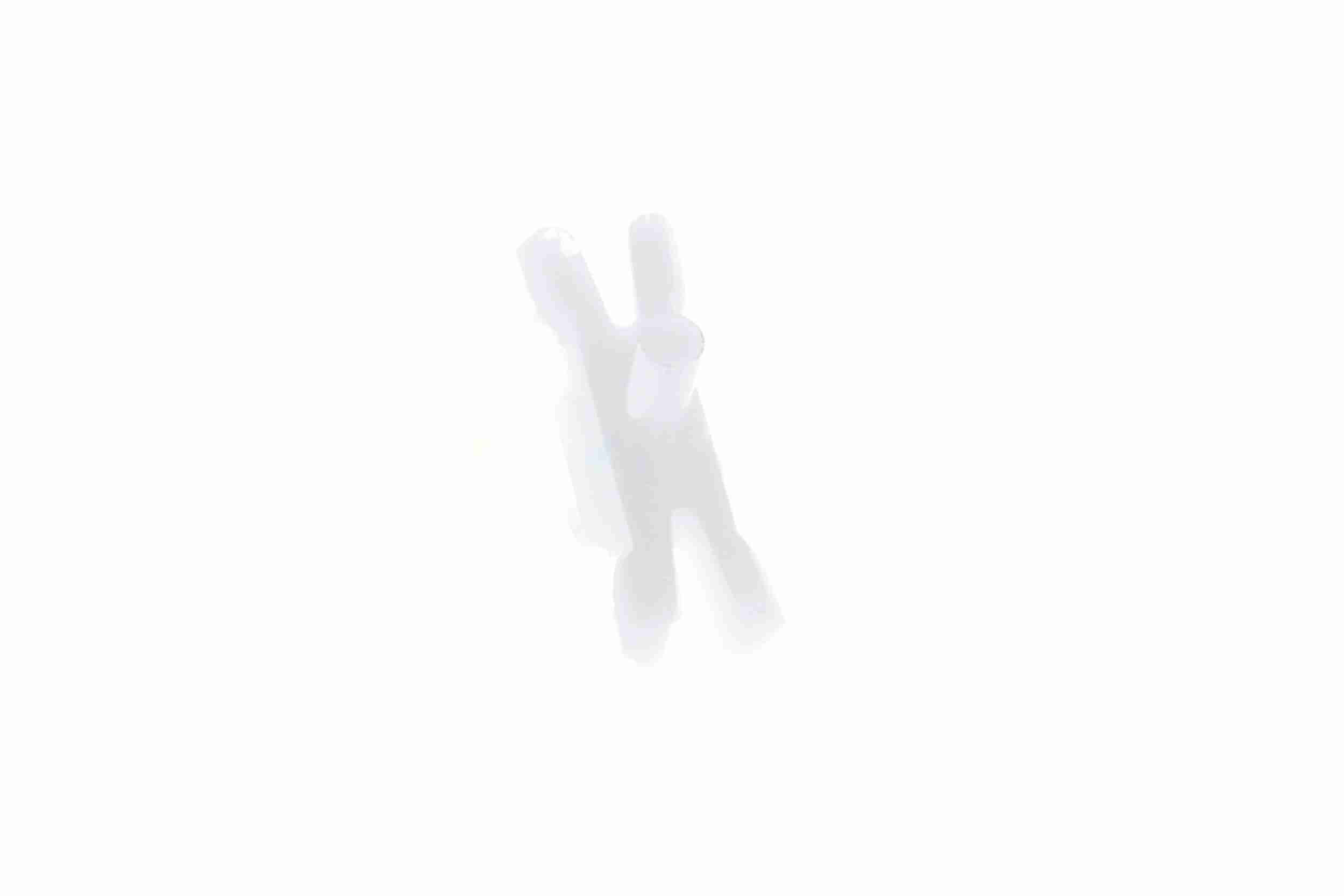 Clip, Zier-/Schutzleiste