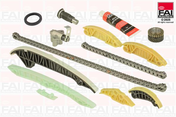 FAI AutoParts TCK223L - Steuerkettensatz