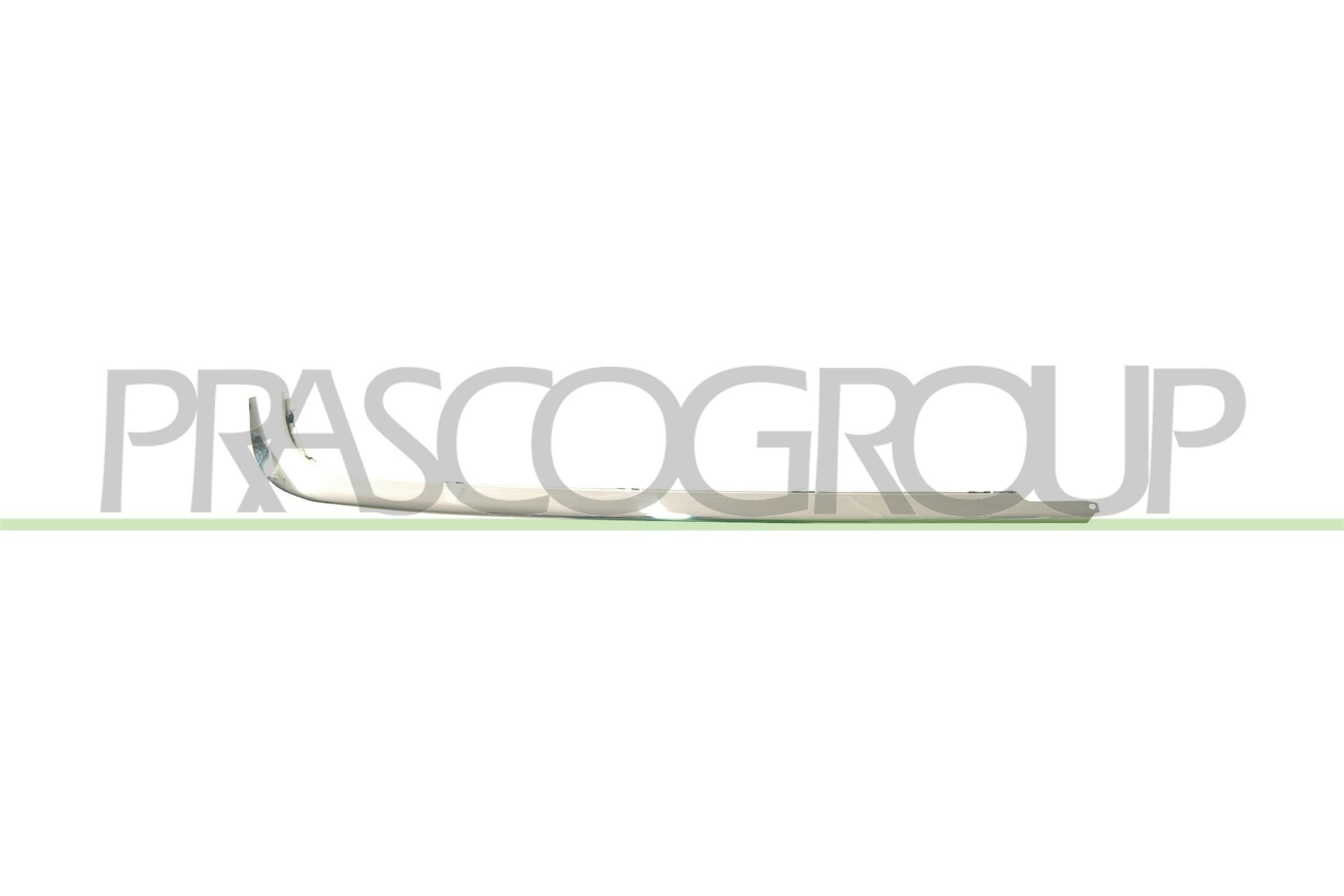 Zier-/Schutzleiste, Stoßfänger