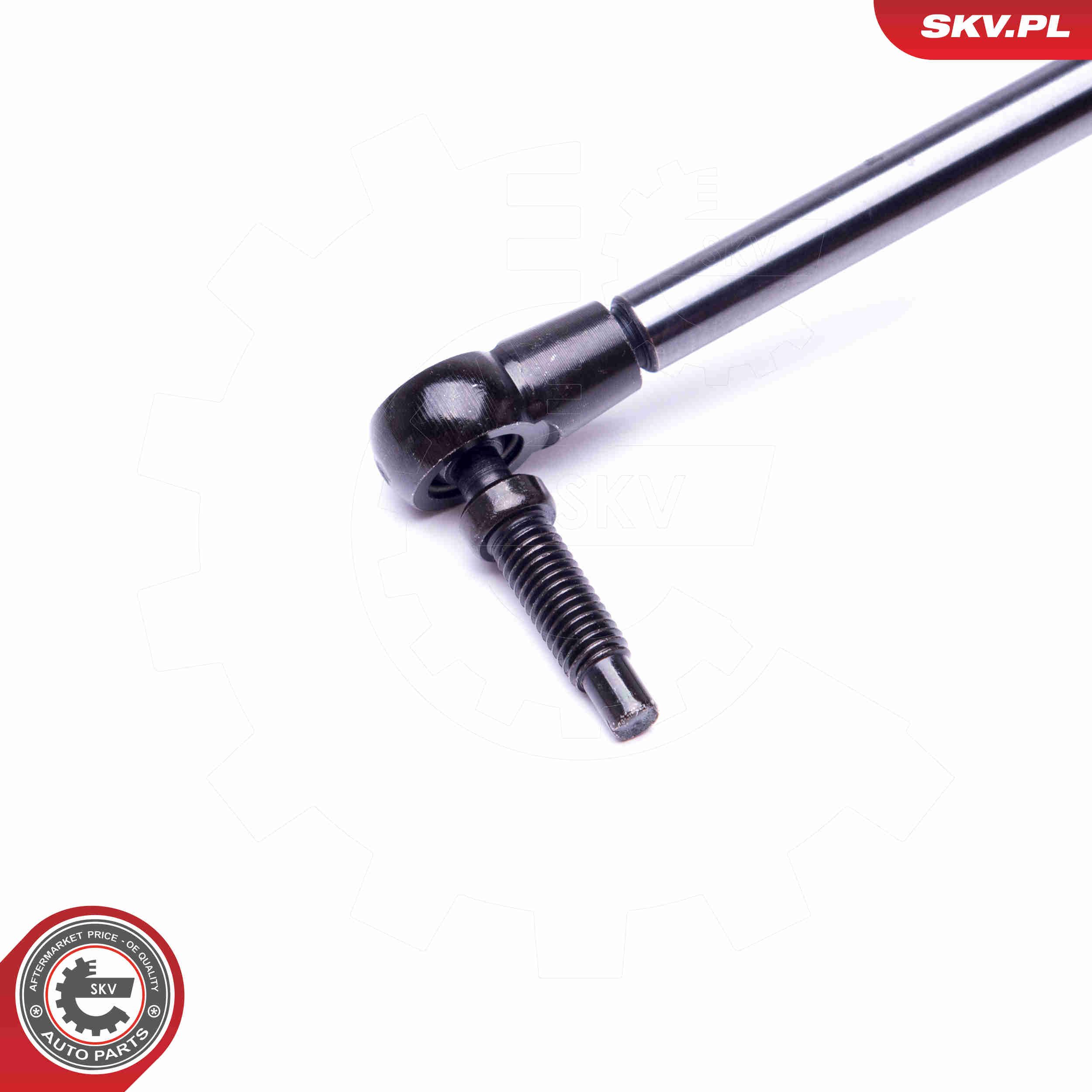 Gasfeder, Koffer-/Laderaum