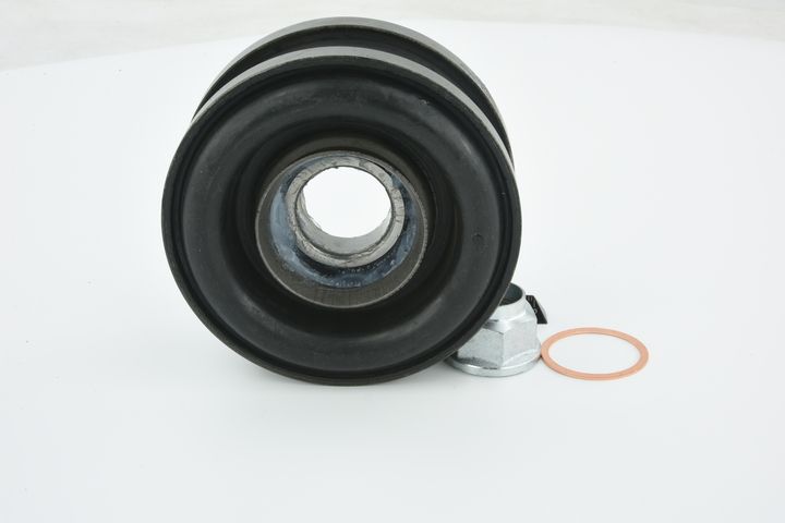 guolis, kardaninio veleno centrinis guolis