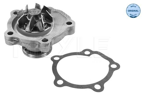 MEYLE 33-13 220 0004 Water Pump, engine cooling