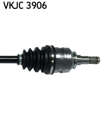 VKJC 3906_3.JPG