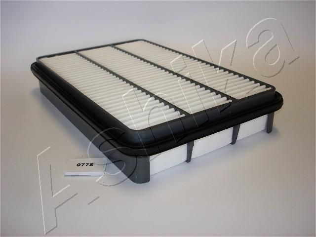 Air Filter 20-09-977