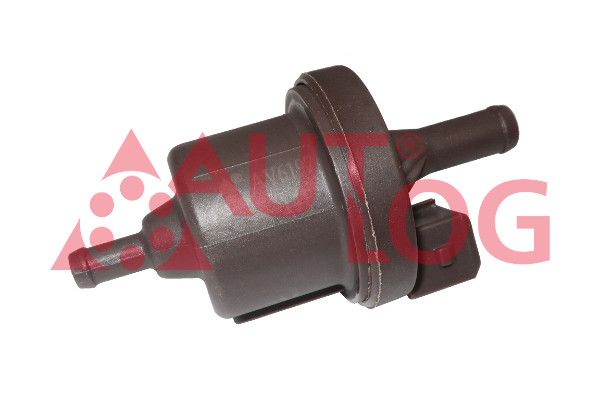 Belüftungs-/Entlüftungsventil, Kraftstofftank