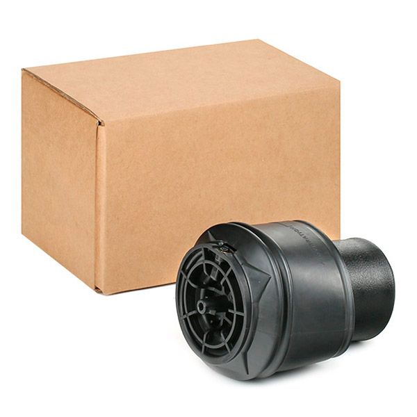 RIDEX 4119A0081 Air Spring, suspension