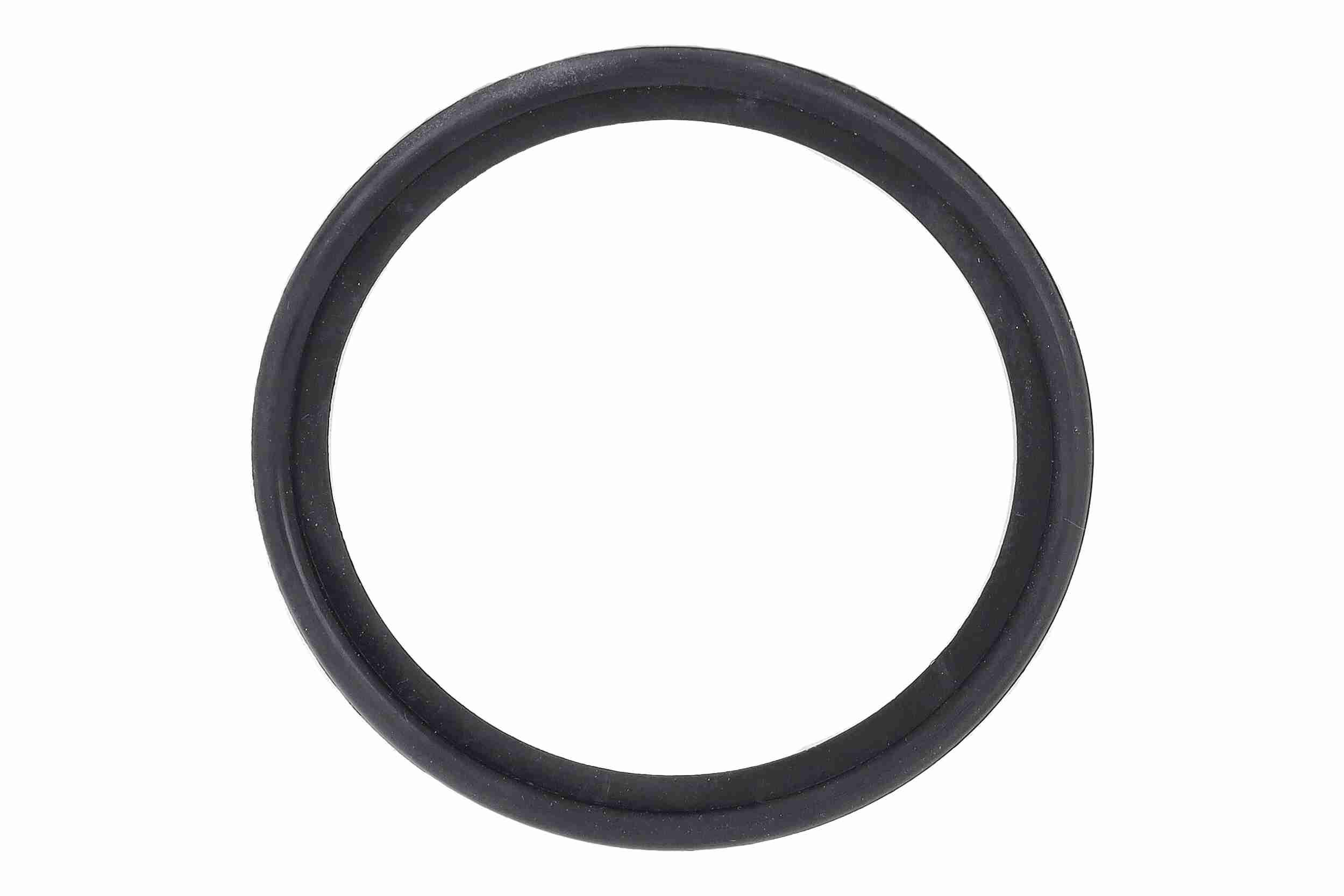 &Ouml;lk&uuml;hler, Motor&ouml;l