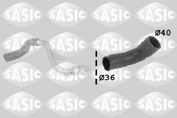 3336067.JPG