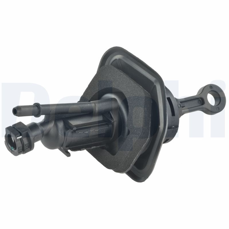 LM80388.JPG