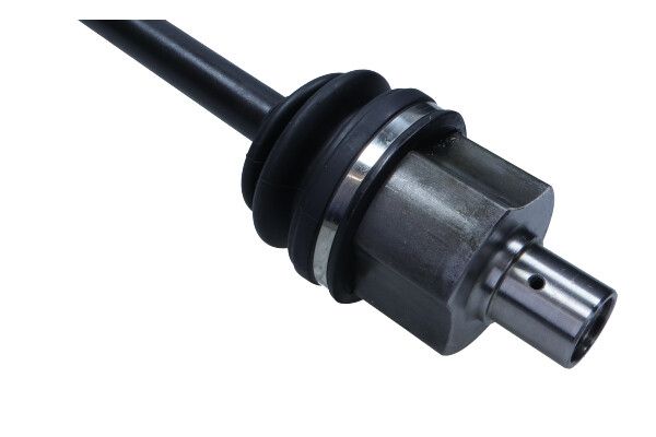 27-0116MG_2_LARGE.JPG