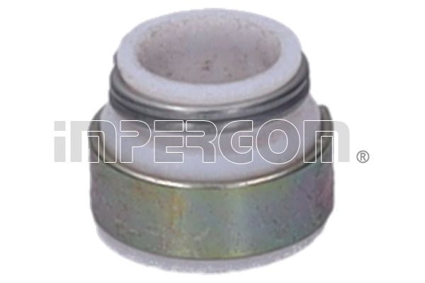 Dichtring, Ventilschaft