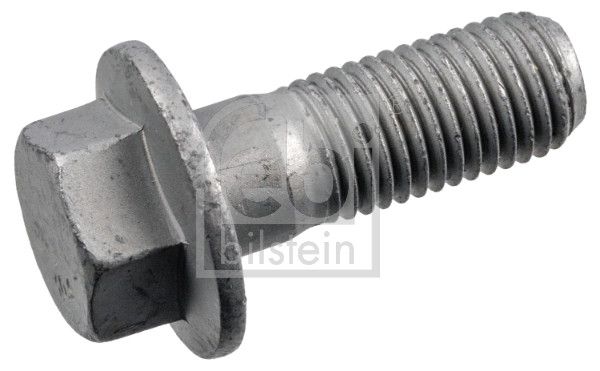 Schraube, Bremssattel