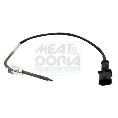 Sensor, Abgastemperatur