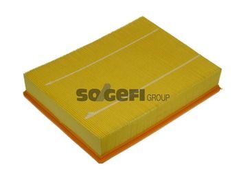 Air Filter A1210