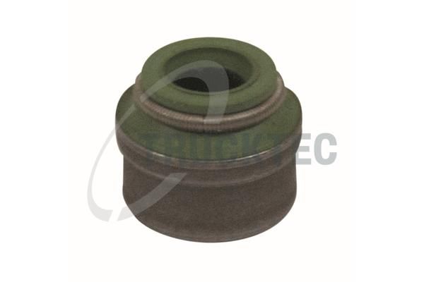 Dichtring, Ventilschaft