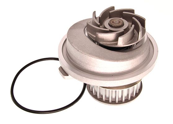 MGC-5365_2_LARGE.JPG