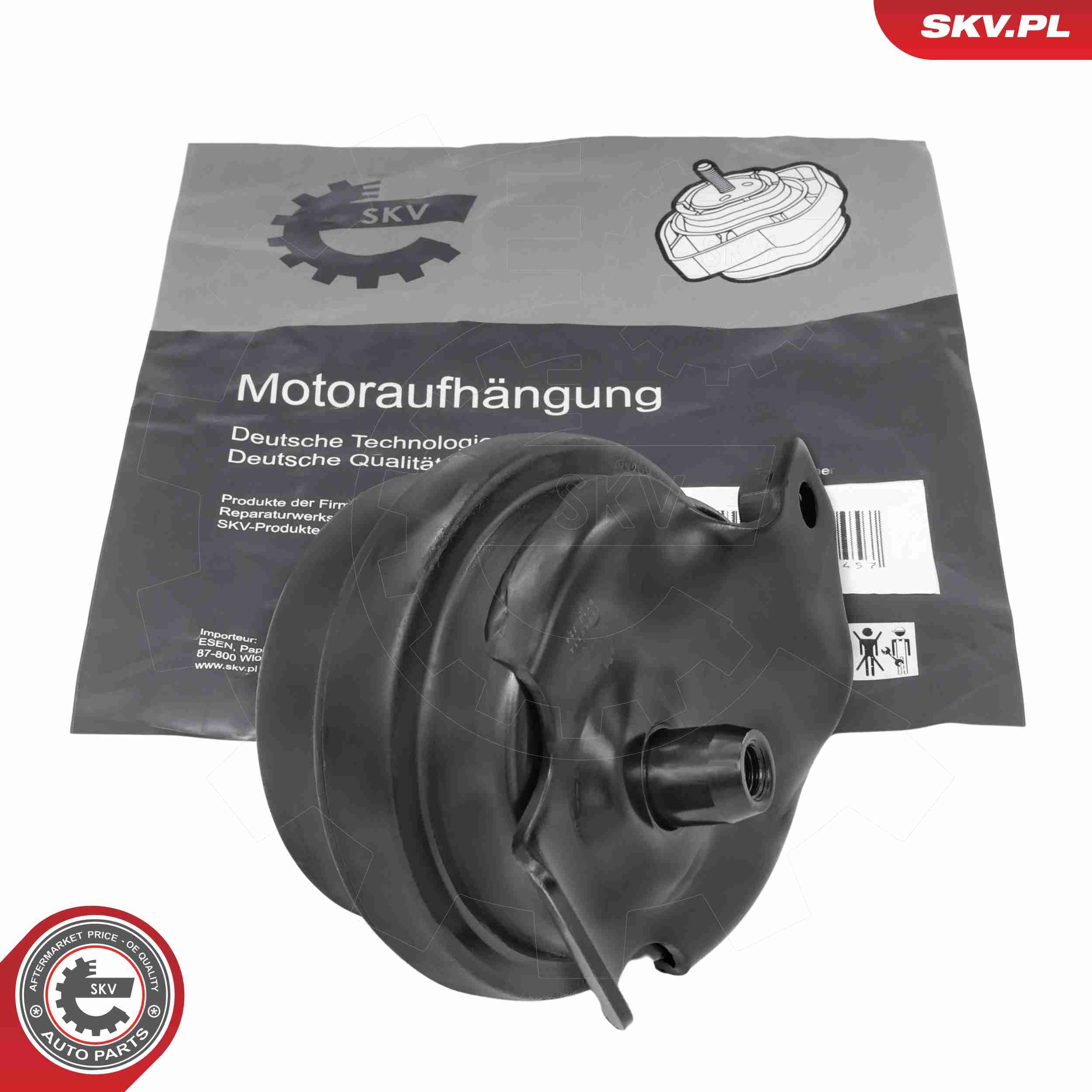 ESEN SKV 75SKV114 - Lagerung, Motor