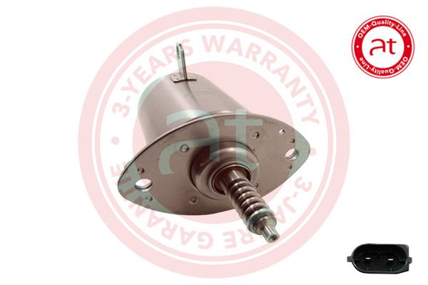 Stellelement, Exzenterwelle (variabler Ventilhub)