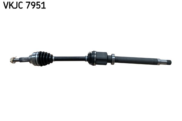 VKJC 7951.JPG