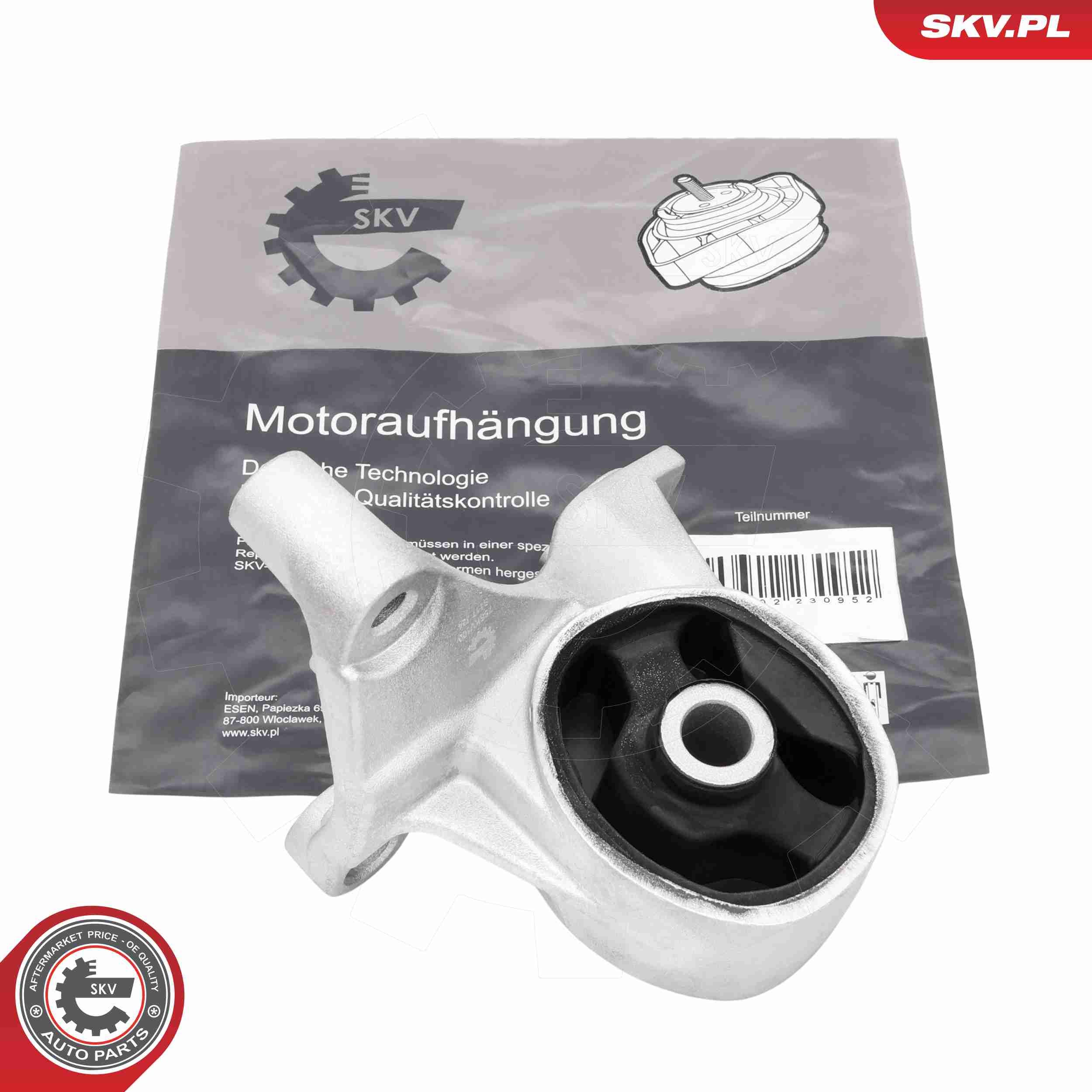 ESEN SKV 75SKV100 - Lagerung, Motor