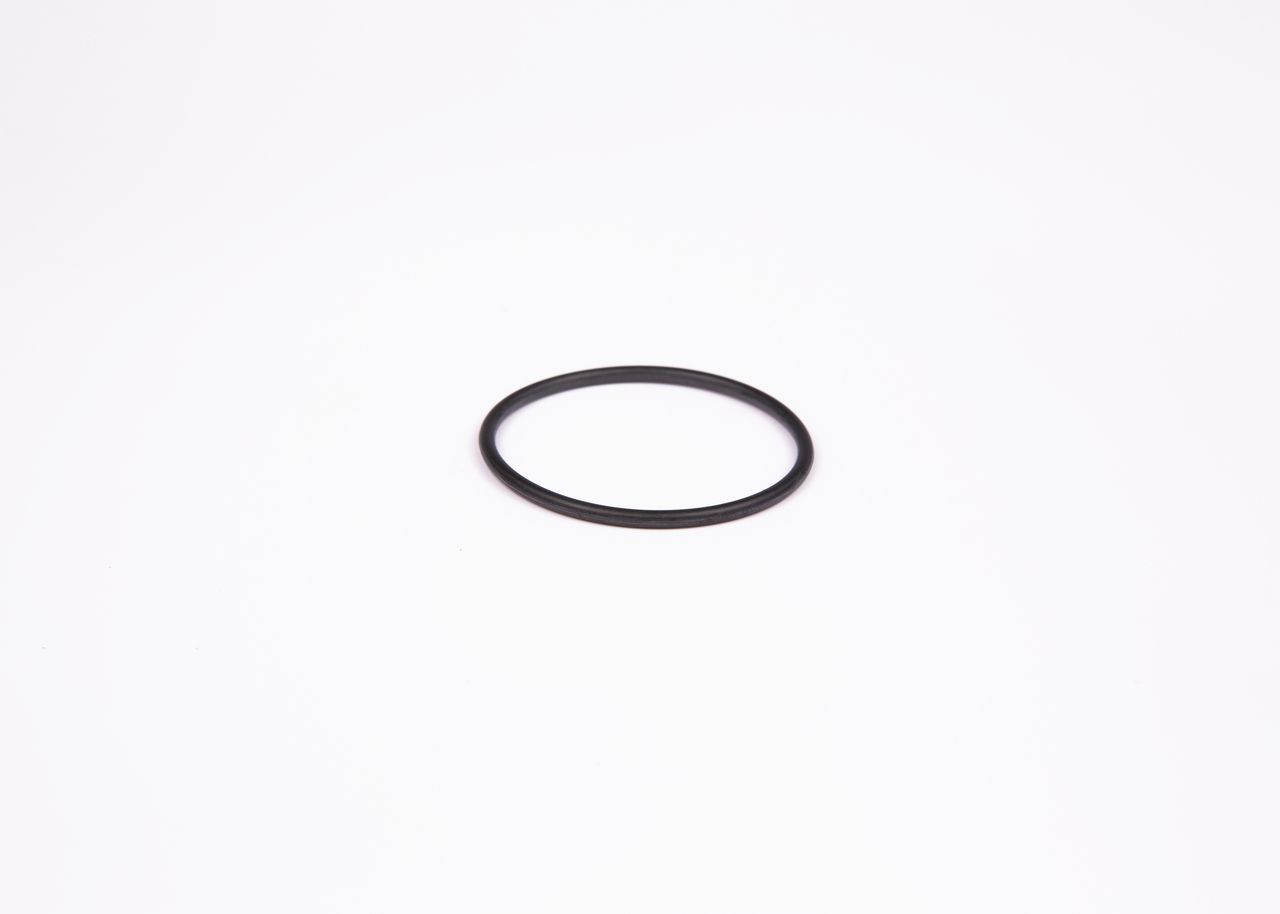 Dichtring