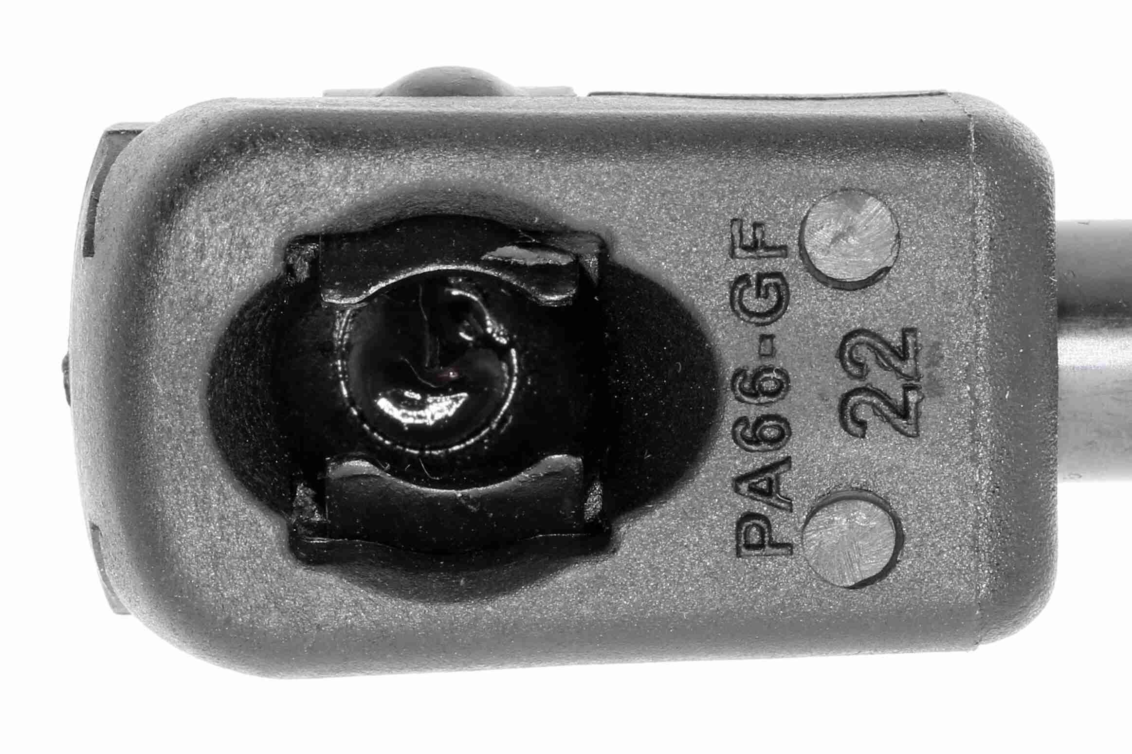 Gasfeder, Koffer-/Laderaum