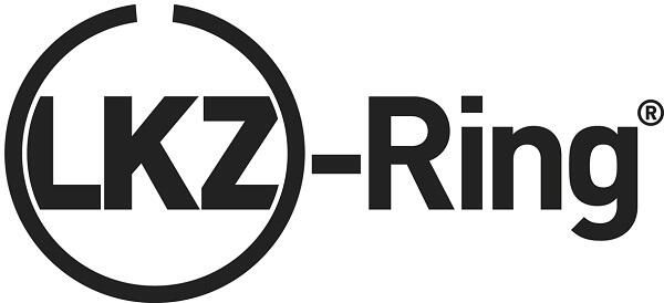 Kolbenringsatz Kolbenringsatz