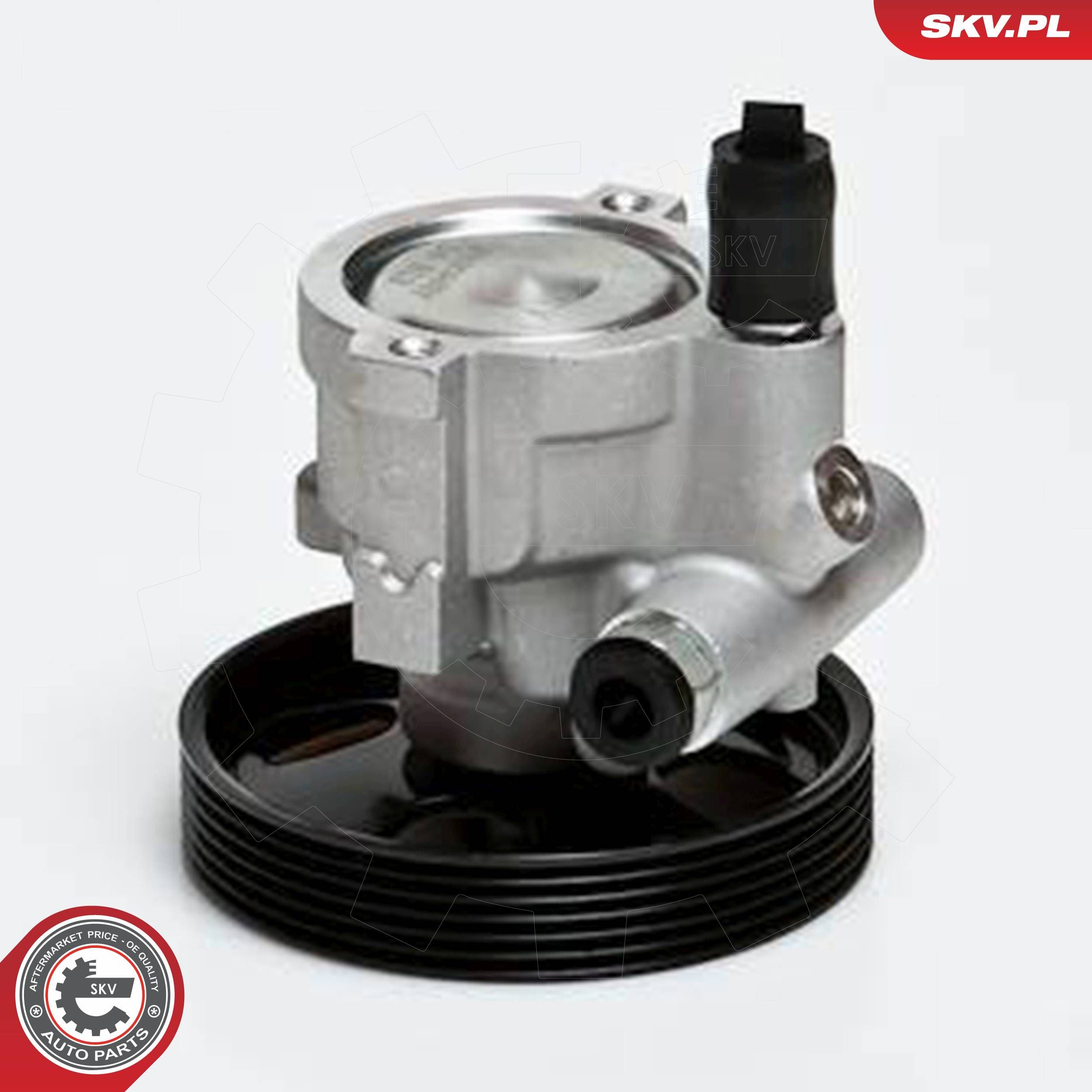 ESEN SKV 10SKV168 - Hydraulikpumpe, Lenkung