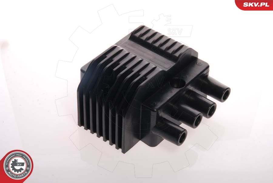 Ignition Coil 03SKV014