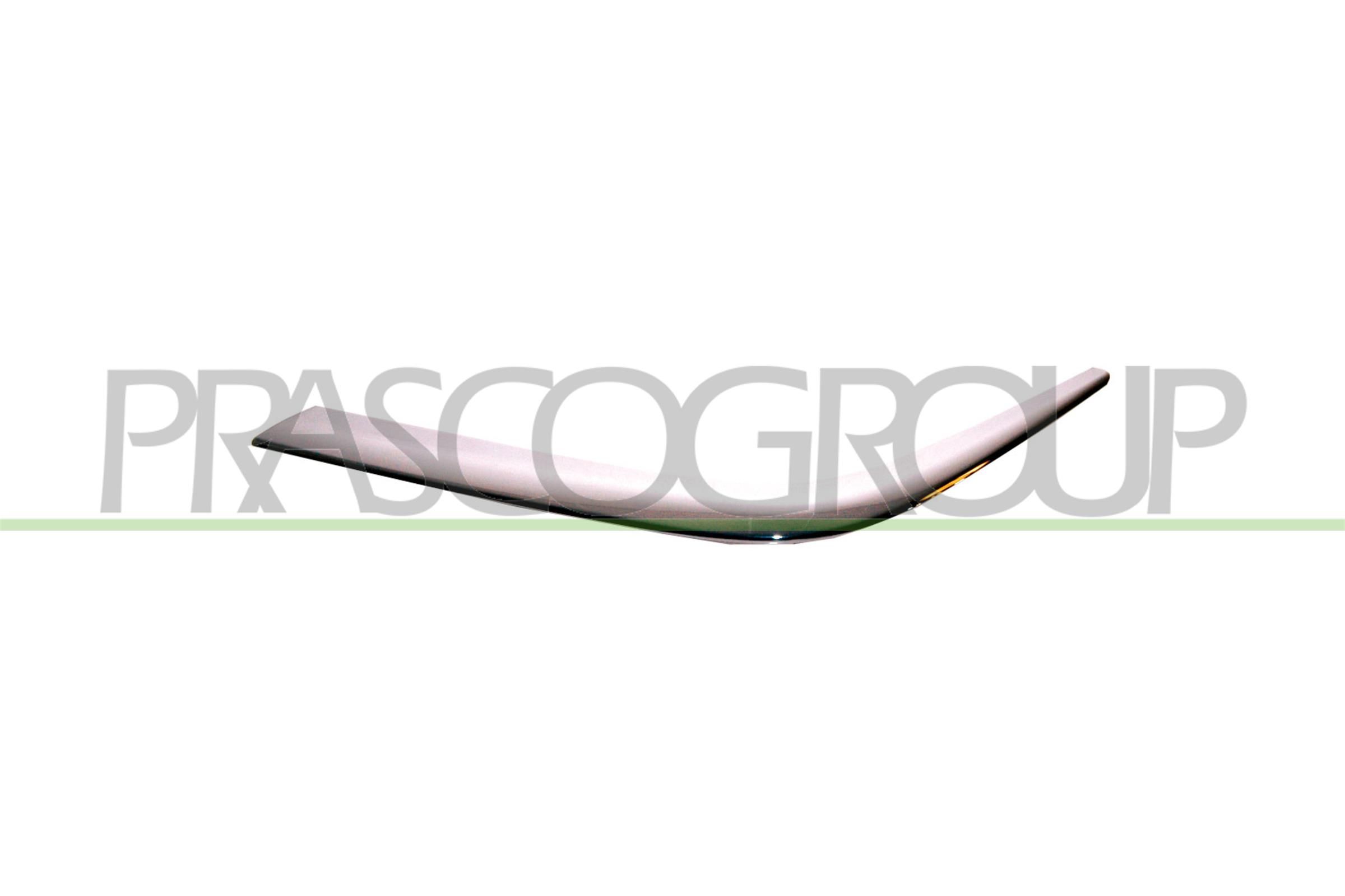 Zier-/Schutzleiste, Stoßfänger