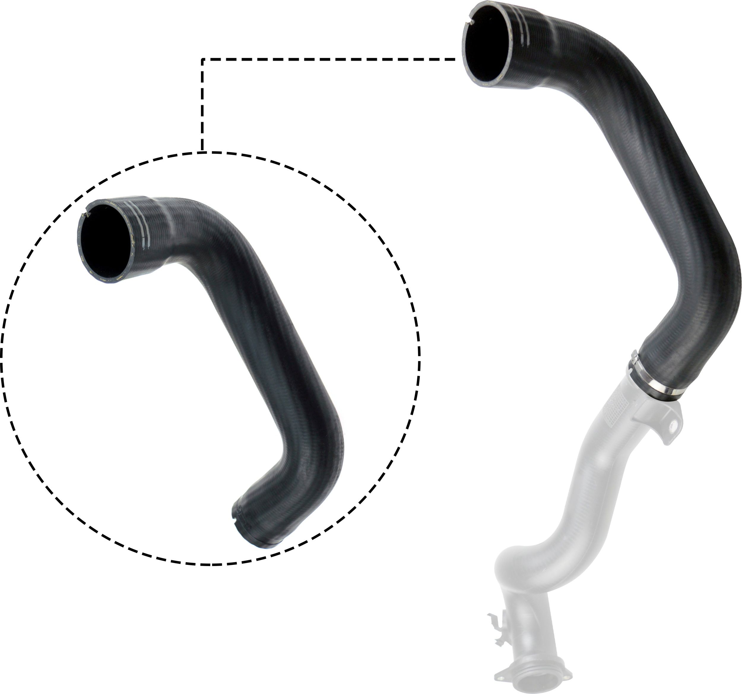 RAPRO R11773 - Ladeluftschlauch