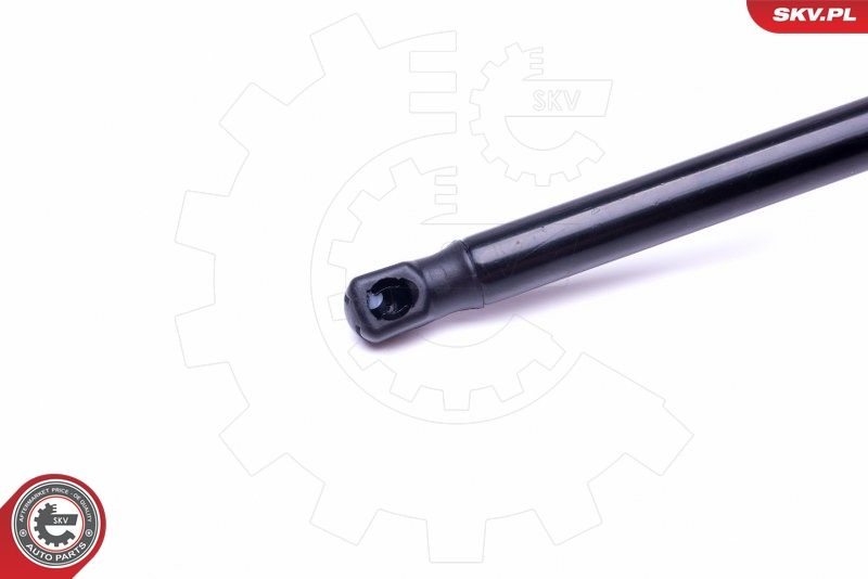 Gasfeder, Koffer-/Laderaum Gasfeder, Koffer-/Laderaum