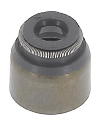 Dichtring, Ventilschaft