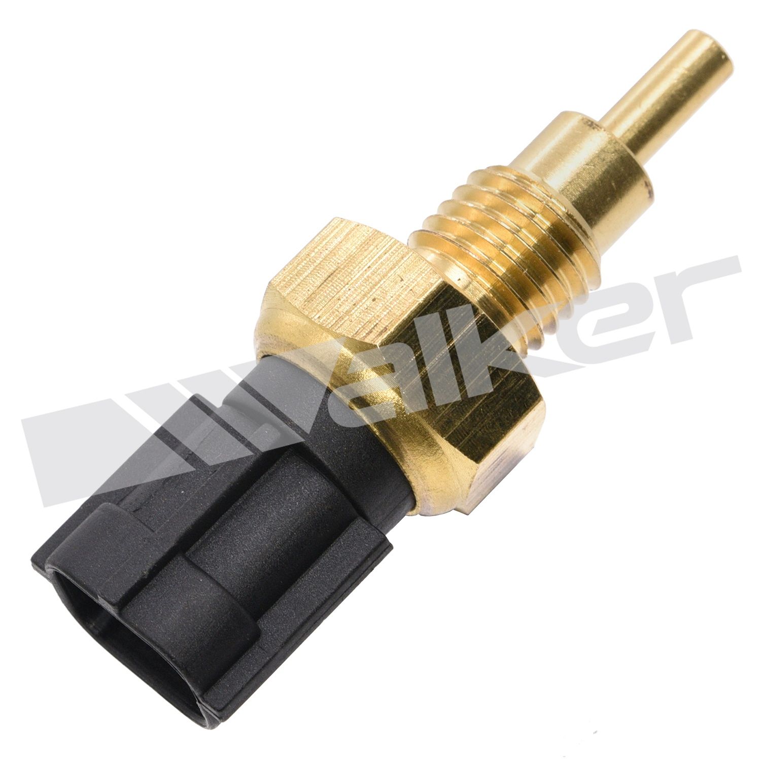 Sensor, temperatura del aceite