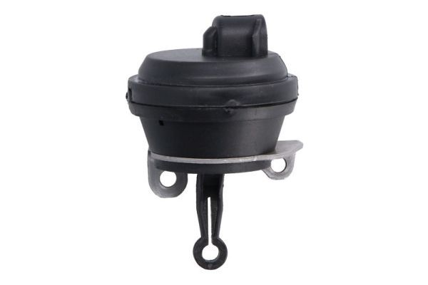 Valve, exhaust gas recirculation ENT500503