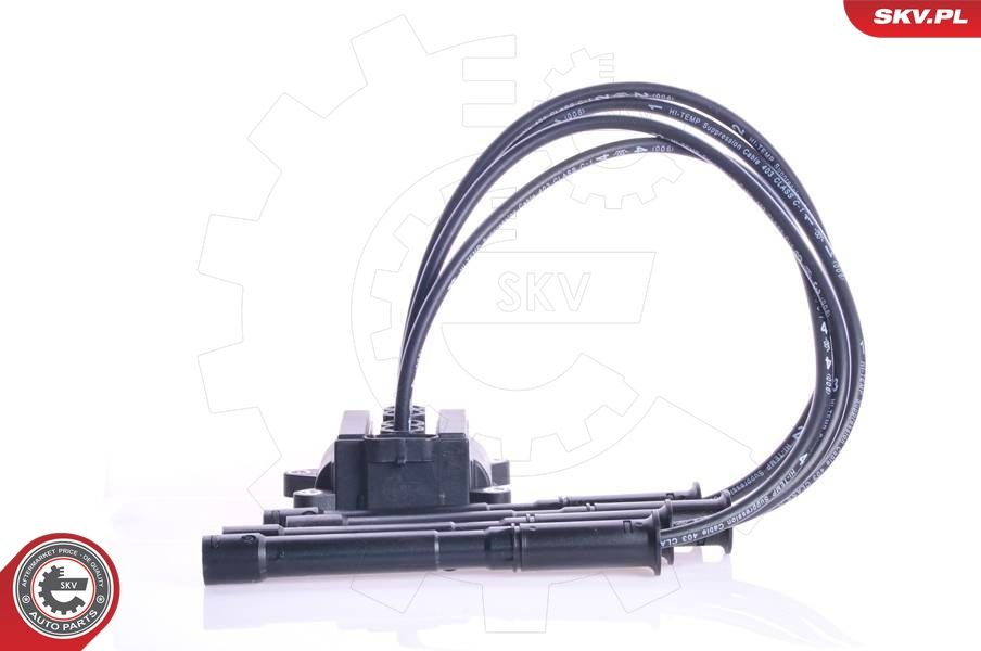 Ignition Coil 03SKV087