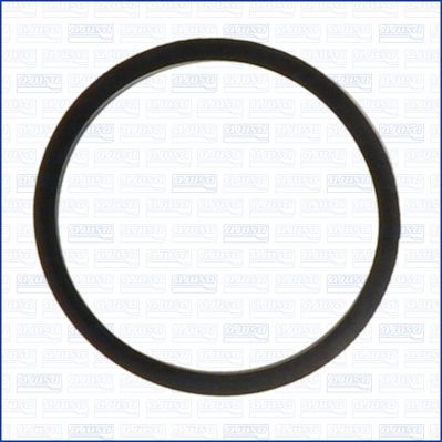 Dichtung, Thermostat Dichtung, Thermostat