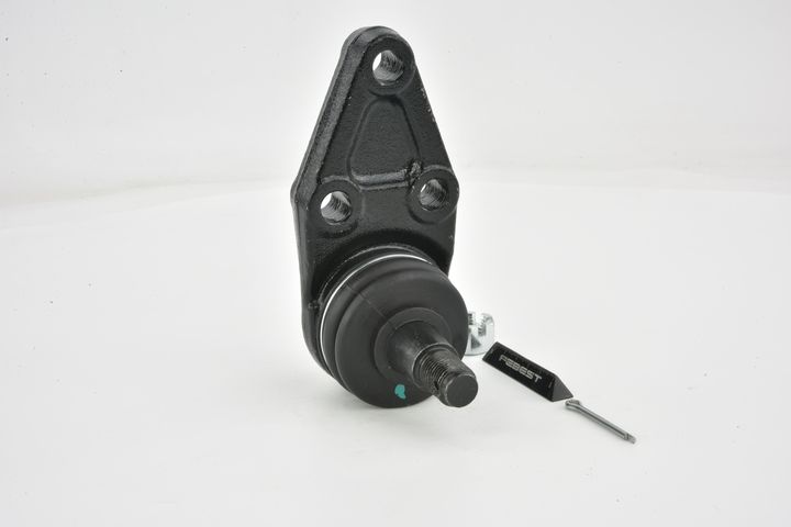 Šarnyras / girgždukas