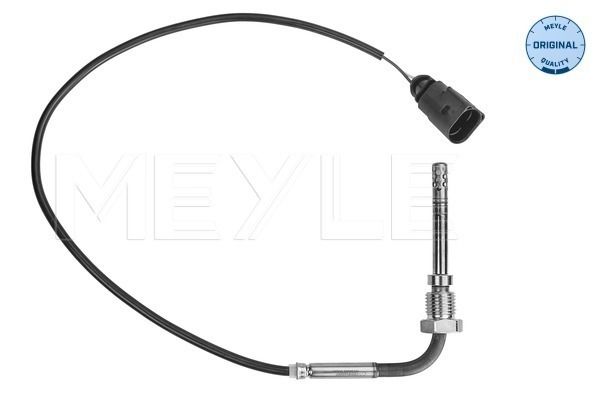 Sensor, Abgastemperatur