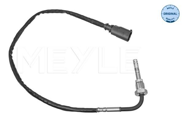 Sensor, Abgastemperatur