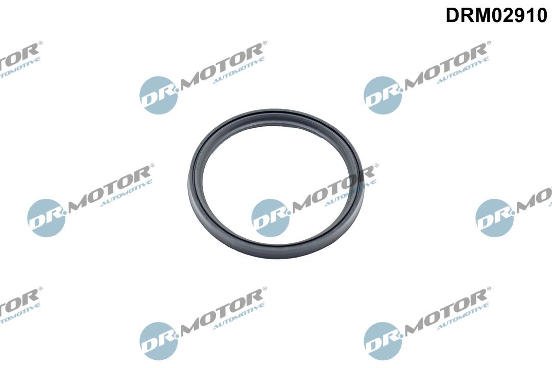 Dr.Motor Automotive DRM02910 Seal Ring, charge air hose