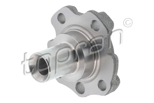 Achszapfen, Achskörper