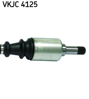 VKJC 4125_3.JPG