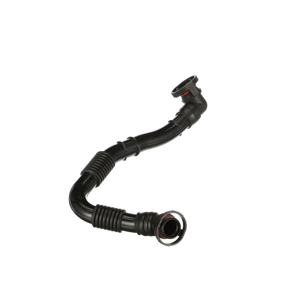 žarna, karterio alsuoklis