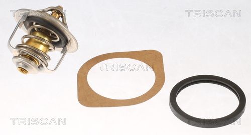 Thermostat, Kühlmittel