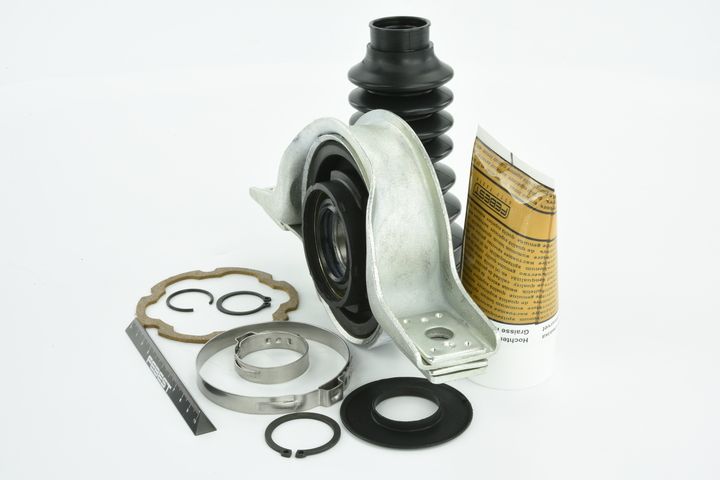 guolis, kardaninio veleno centrinis guolis