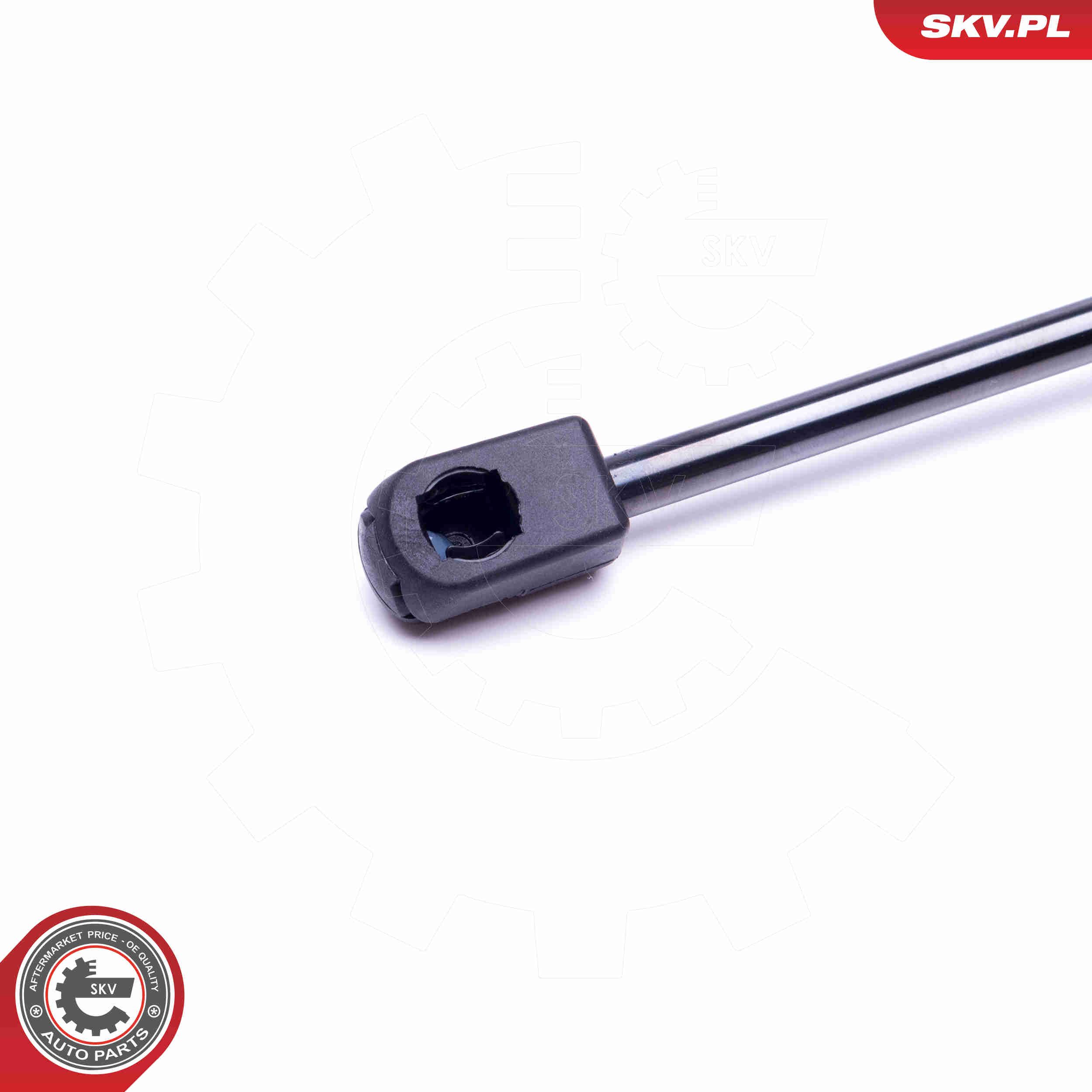 Gasfeder, Koffer-/Laderaum Gasfeder, Koffer-/Laderaum