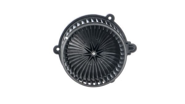 Ventilador del interior